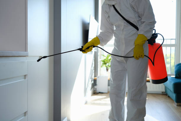 Best Office Mold Removal Services  in Olivet, NJ