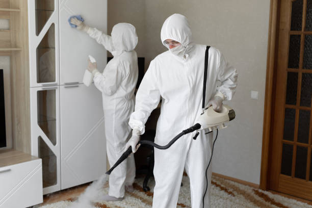 Crawl Space Mold Removal in Olivet, NJ