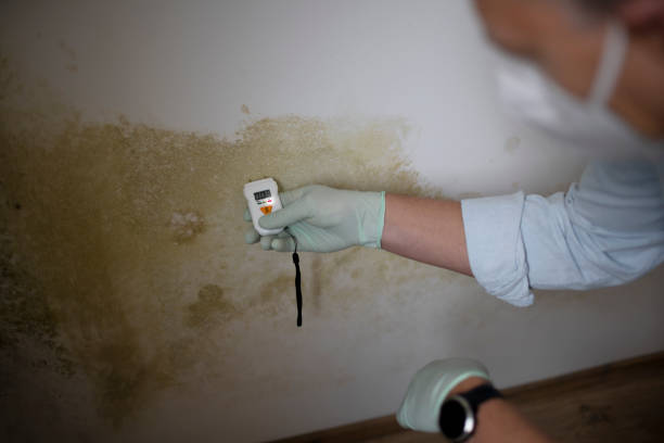 Best Mold Testing  in Olivet, NJ