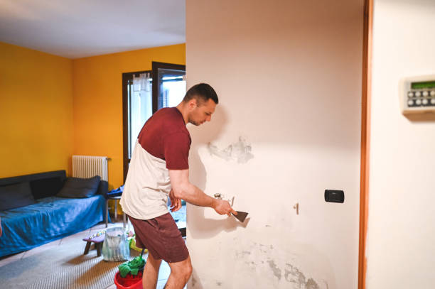 Best Toxic Mold Removal  in Olivet, NJ