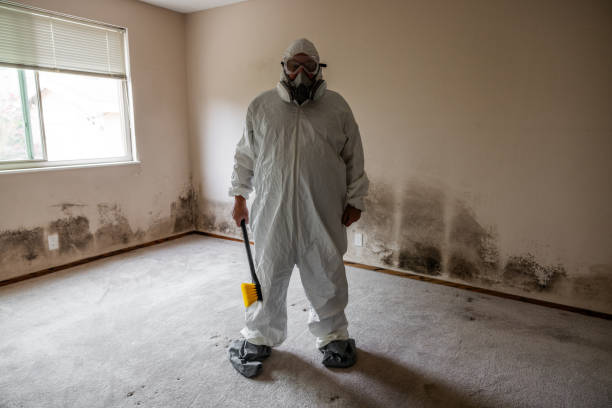 Best Local Mold Removal Service  in Olivet, NJ